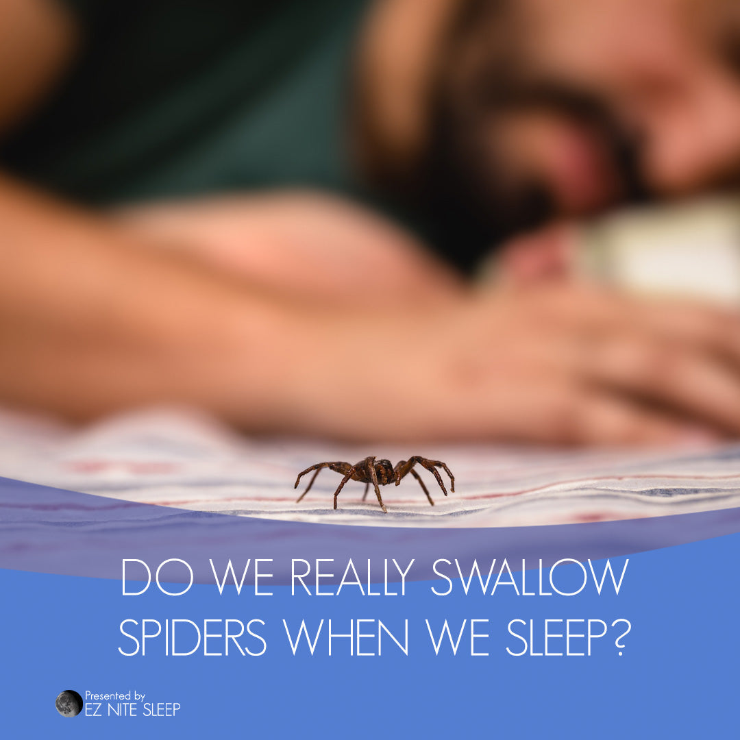 Do People Really Eat Spiders While Sleeping? The Truth Behind the Myth