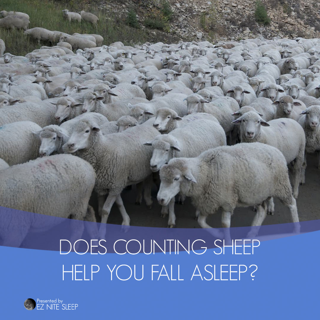 Does Counting Sheep Actually Help You Fall Asleep? Here’s What Science Says