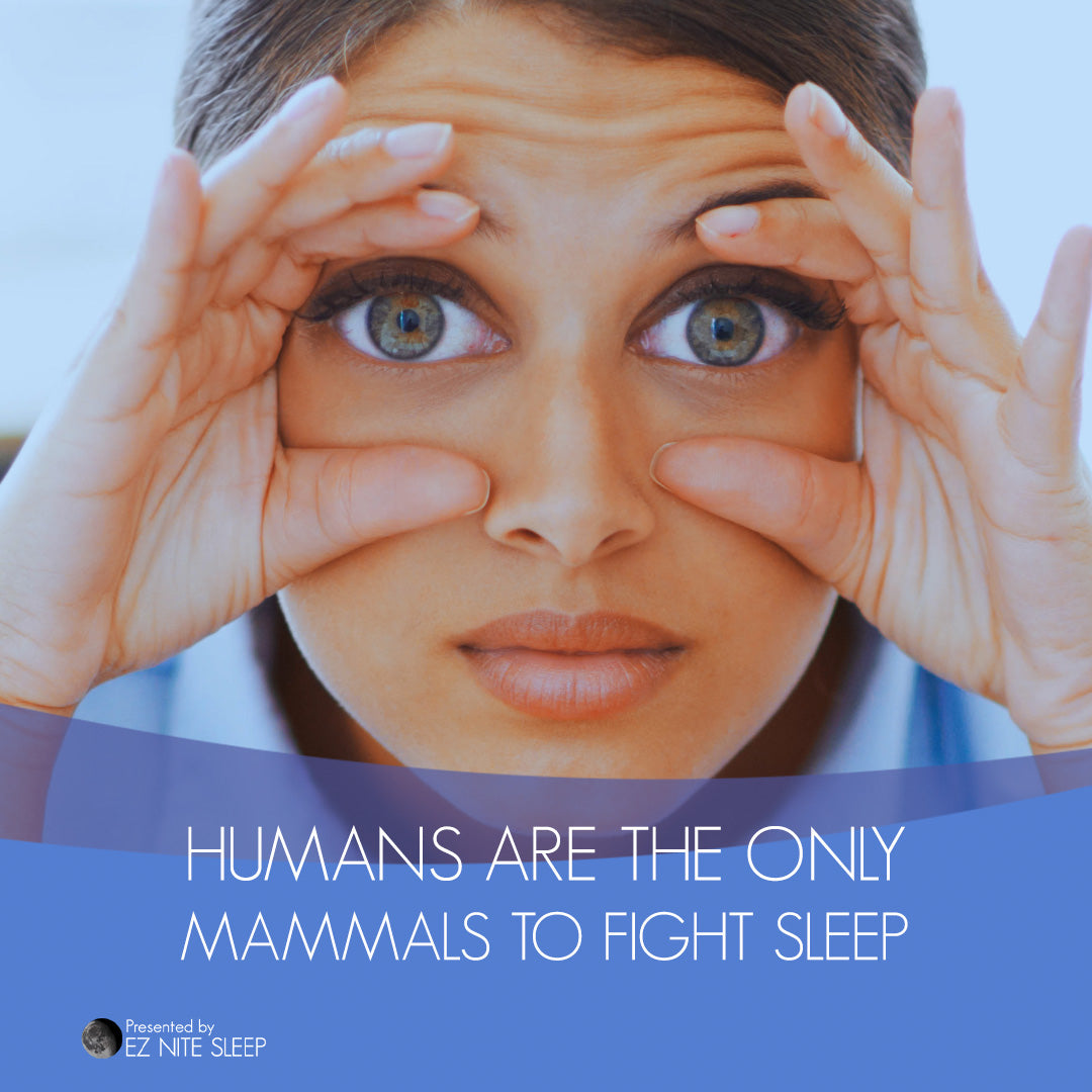 Why Humans Are the Only Mammals That Can Resist Sleep And What It Means for Your Health