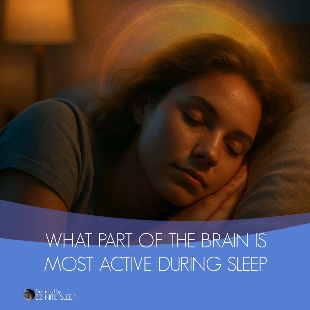 What Part of the Brain Is Most Active When You’re Dreaming? A Look Inside the Sleeping Mind