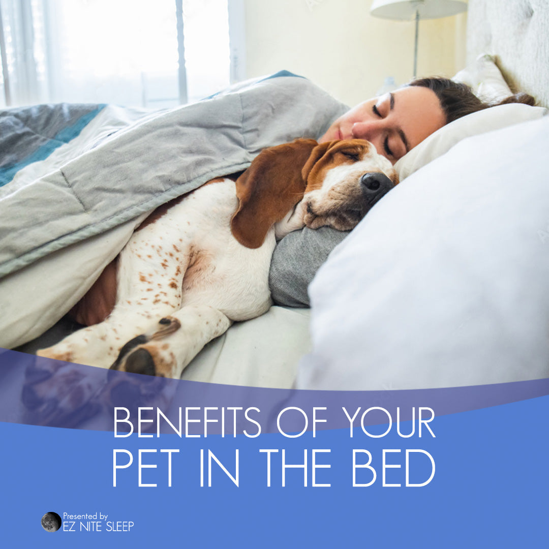 The Surprising Benefits of Sleeping with Your Pet
