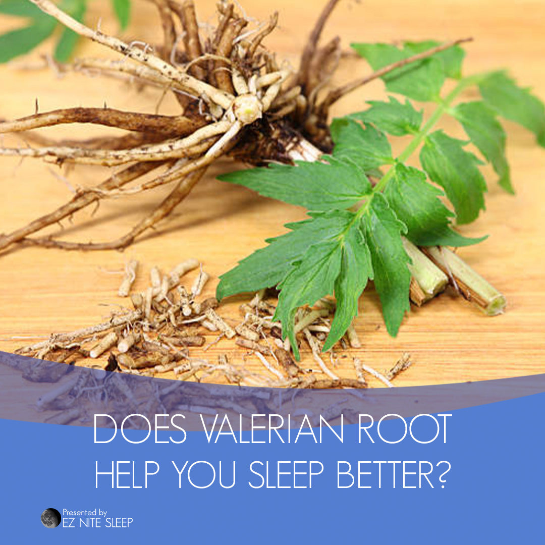 Valerian Root: The Herbal Remedy for Better Sleep and How It Works