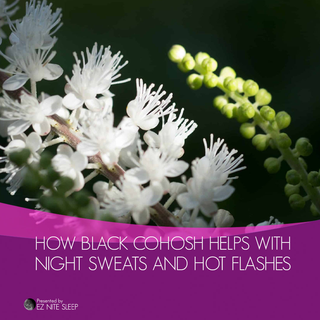 How Black Cohosh Can Help with Night Sweats and Hot Flashes: Natural Relief for Menopause Symptoms"